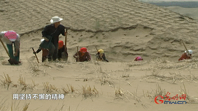 【奋进的中国精神】是他们，创造了世界治沙史上的奇迹！