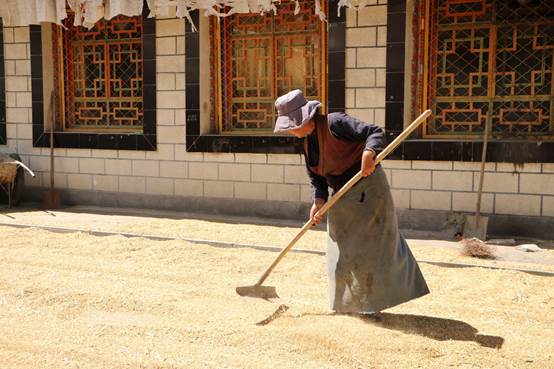 【新时代·边疆行】西藏民主改革第一村：从农业到旅游业，克松未来可期
