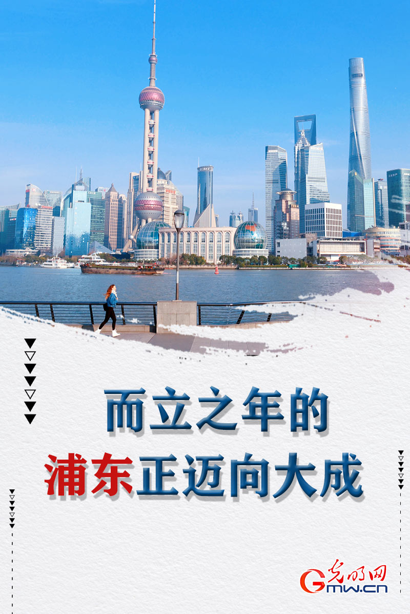 【光明图评】而立之年的浦东正迈向大成