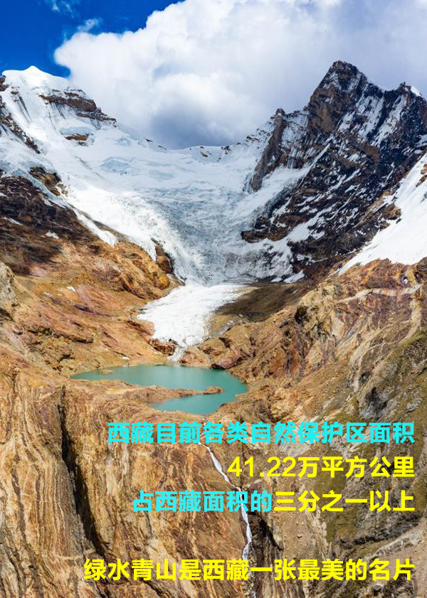 【海报】一组数字，看“绿色西藏”的生态颜值