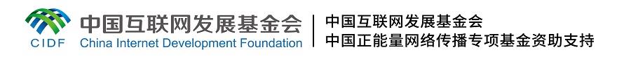 网络法治建设的中国实践与价值启示