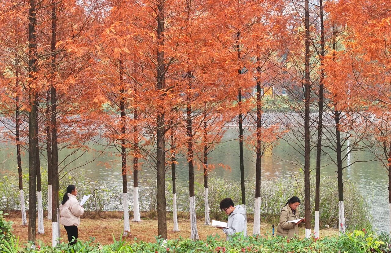 大学生有偿替课:偷懒还是无奈?