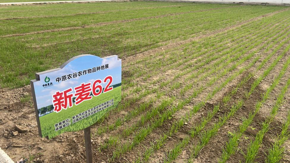 �������磺���¡����� ��ռ��ҵ��չ�Ȼ�